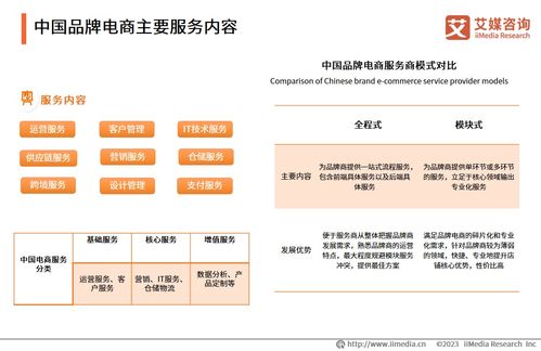 2023年中國品牌電商服務(wù)商行業(yè)研究報(bào)告 互聯(lián)網(wǎng)信息服務(wù)視角